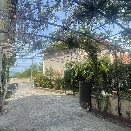 فيلا ديفافي Luxury House Teodora المظهر الخارجي الصورة
